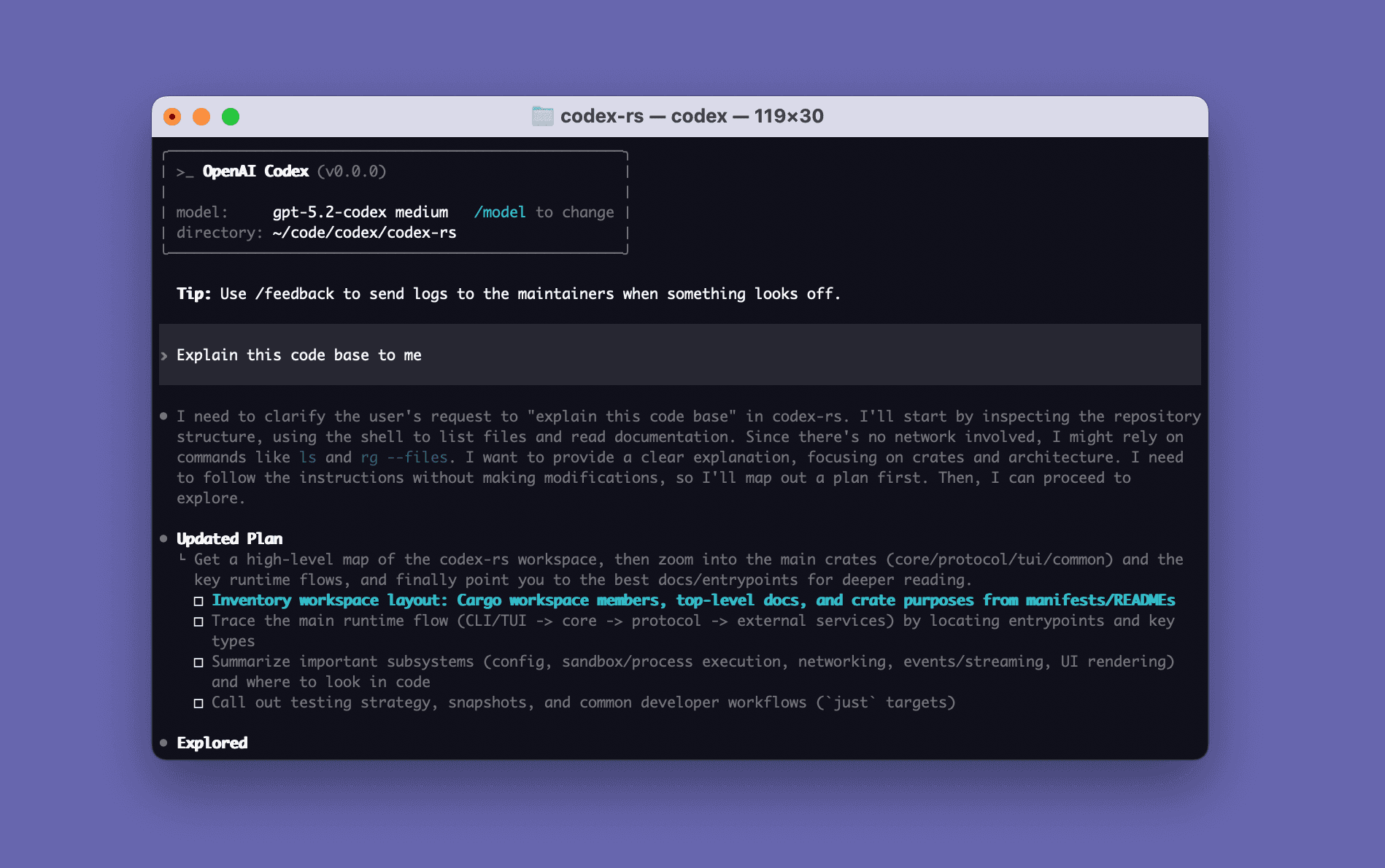 Codex CLI in a terminal window, making a step-by-step plan to explain a codebase